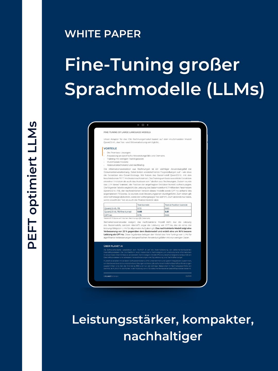 Snippet LLM Fine-Tuning White-Paper (DE)