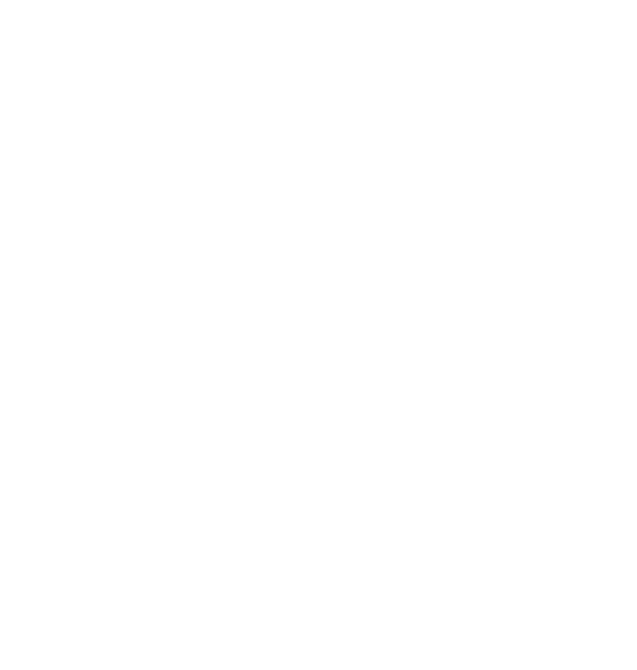 EN_co_fundedvertical_RGB_WHITE co-funded EU